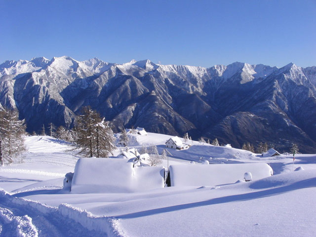 moncuccogiuseppe cortellini