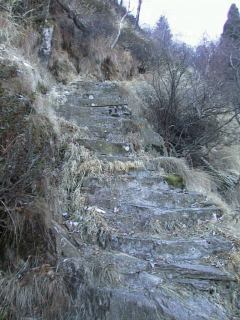 faierone06.jpg (27789 bytes)