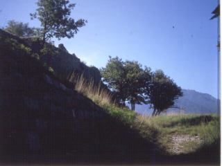 orfano01.JPG (17013 byte)