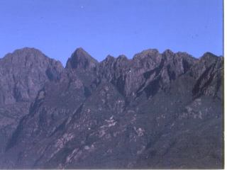 orfano05.JPG (9797 byte)