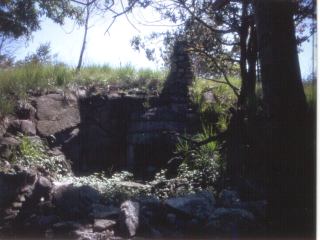 orfano09.jpg (15634 bytes)