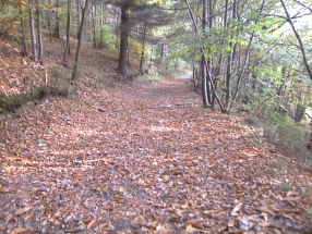 pollino12.jpg (69400 bytes)