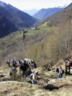 salanti07.jpg (30830 bytes)