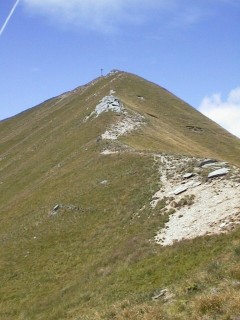 moncucco216.jpg (22227 bytes)