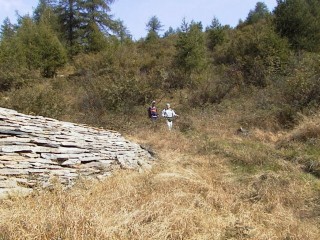 mottone25.jpg (33584 bytes)