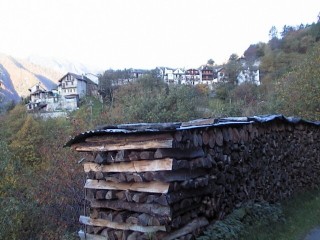 larie01.jpg (24475 bytes)