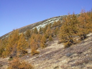 larie26.jpg (26595 bytes)