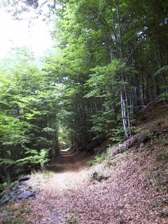 torrione26.jpg (36036 bytes)