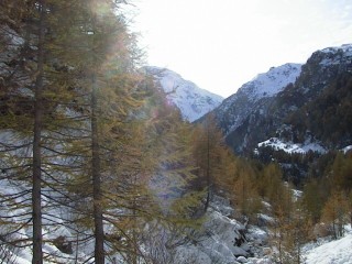 troggi22.jpg (26131 bytes)