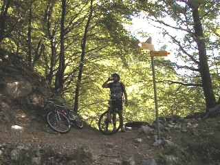 salec_bike14.jpg (38952 bytes)
