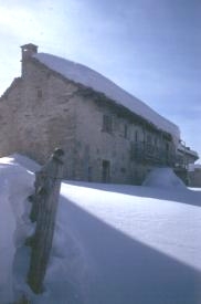 archia04.JPG (6290 byte)