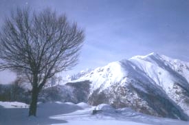 archia08.JPG (9401 byte)