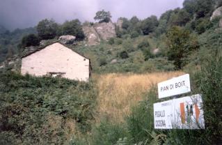 boit05.JPG (15710 byte)