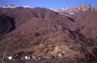 busar02.JPG (13118 byte)