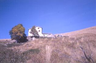 marona03.JPG (9960 byte)