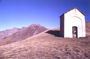 marona04.JPG (11037 byte)