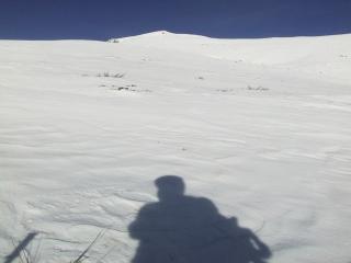 todem05.JPG (7451 byte)