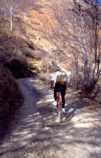 zedabici04.JPG (18230 byte)