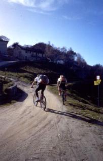 zedabici05.JPG (11361 byte)