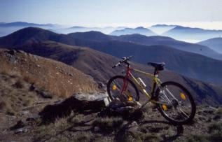 zedabici06.JPG (12159 byte)