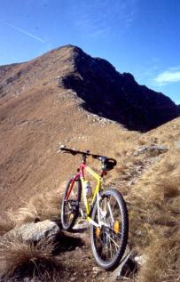 zedabici07.JPG (15465 byte)