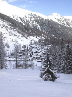 bosco18.JPG (35589 bytes)