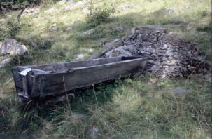 mognola10.JPG (15049 byte)