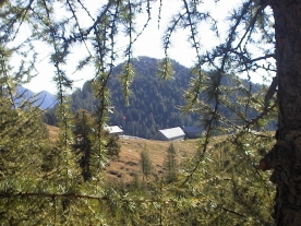 salei05.jpg (63212 bytes)