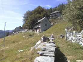 salei15.jpg (55065 bytes)