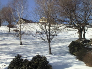 faiei03.jpg (35624 bytes)