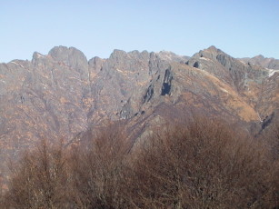 faiei11.jpg (23697 bytes)