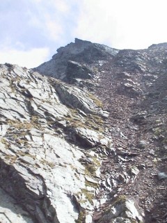 schiles07.jpg (31395 bytes)