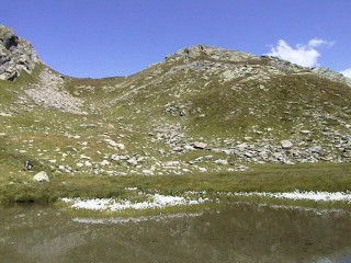 schiles20.jpg (28043 bytes)