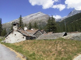 schiles25.jpg (27640 bytes)