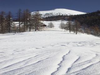 seehorn04.JPG (13357 byte)