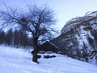 seeho05.JPG (30174 bytes)