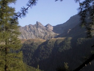 cadabi02.jpg (22183 bytes)