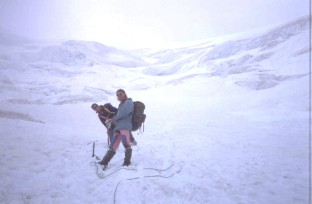 weissmies01.jpg (15692 byte)