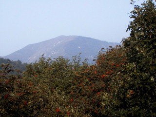 giandolino03.jpg (23680 bytes)