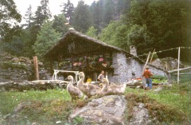 ospizio01.jpg (20351 bytes)