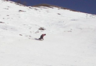 prato11.jpg (9080 byte)