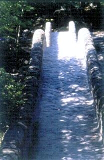 ver08.JPG (16504 byte)