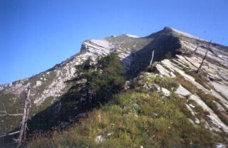 crana_01.jpg (14009 byte)
