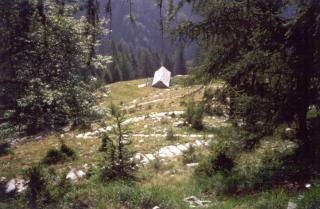 crana_06.jpg (17155 byte)