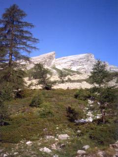 fontan02.JPG (15857 byte)