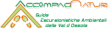 accompagnatur.gif (6731 bytes)