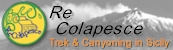 banner17350.jpg (11384 bytes)