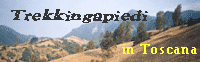 trekapiedi.gif (824 bytes)